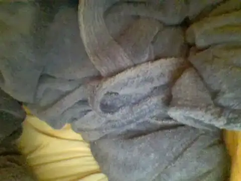 Ariete80s online show from 02/23/25, 06:56