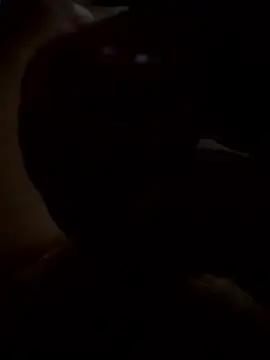 Snapshot of rusken123 chatting on 01/15/26, 05:49 rusken123 online show from 01/15/26, 05:49