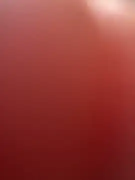 portugadopau online show from 09/10/25, 04:07