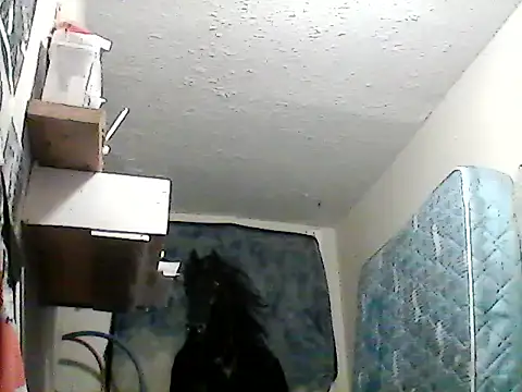 lilbishmiss online show from 01/26/25, 06:38