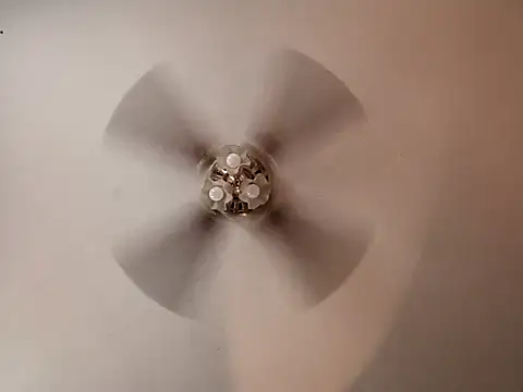 lilbishmiss online show from 11/19/25, 04:40