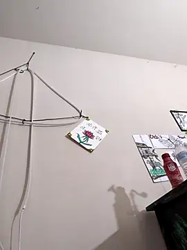 lit702 online show from 06/22/26, 12:02