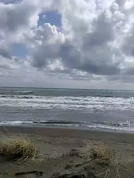 dhaadhawe online show from 03/21/26, 11:59