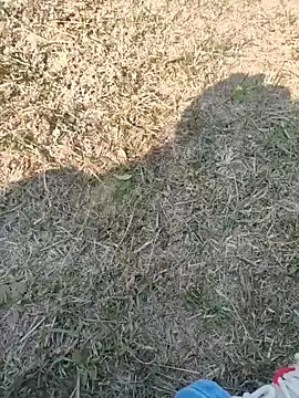 Gururonny07 online show from 01/27/25, 07:45