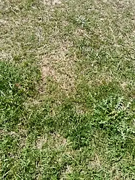 Gururonny07 online show from 03/06/25, 07:57