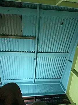 islandvybee55 online show from 01/08/26, 07:54