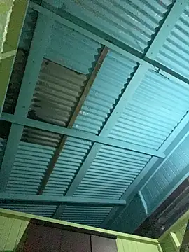 islandvybee55 online show from 01/11/26, 09:14