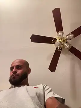 islandvybee55 online show from 03/02/26, 06:14