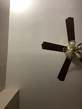 islandvybee55 online show from 03/17/26, 12:48