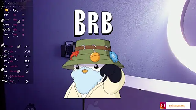  sulmatevans  online show from 01/24/25, 11:48