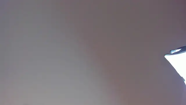 Snapshot of Laurent_Williams chatting on 12/28/24, 10:02 Laurent Williams online show from 12/28/24, 10:02