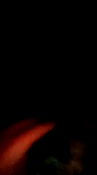 doggiepossession online show from 03/07/25, 02:45