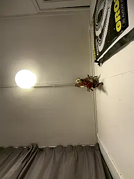 wolfwhite95 online show from 11/14/25, 11:57