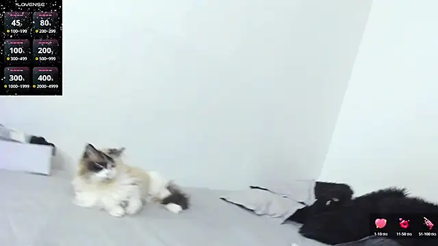 SophieBaker   online show from 02/03/26, 02:10