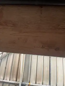 bigfatdick111 online show from 03/21/26, 08:41