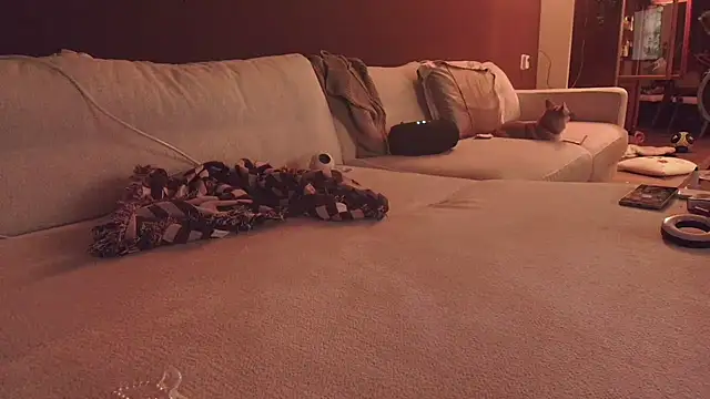 Snapshot of Nina24 chatting on 10/16/25, 06:42 Nina24 online show from 10/16/25, 06:42