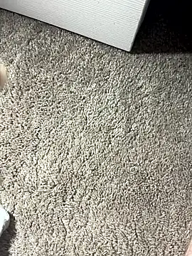 Snapshot of bumpinthat chatting on 02/14/26, 12:07 bumpinthat online show from 02/14/26, 12:07