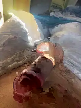 Snapshot of toto36643 chatting on 02/23/26, 10:23 toto36643 online show from 02/23/26, 10:23