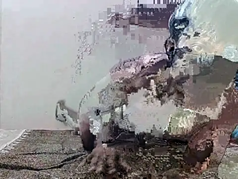 Snapshot of HunkyAriyan chatting on 11/11/25, 01:44 HunkyAriyan online show from 11/11/25, 01:44