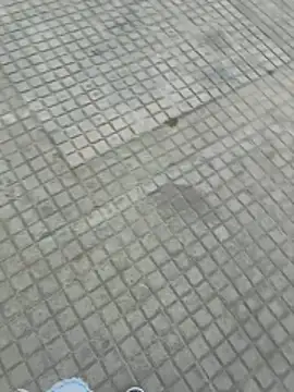 jovenestraviesos online show from 03/01/26, 05:26