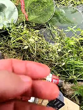 huzi518 online show from 10/25/25, 03:36