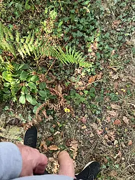 mj23641 online show from 09/27/25, 07:57