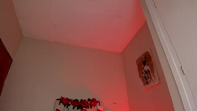 Snapshot of dani_skinny_ chatting on 12/27/24, 06:31 dani skinny  online show from 12/27/24, 06:31