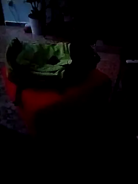 minitranca online show from 02/26/26, 09:58