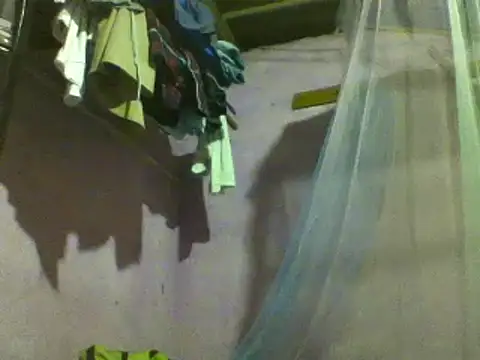 roundbunny online show from 12/10/24, 05:00