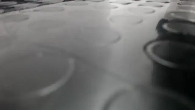 Kitten Hot  online show from 11/13/25, 11:25