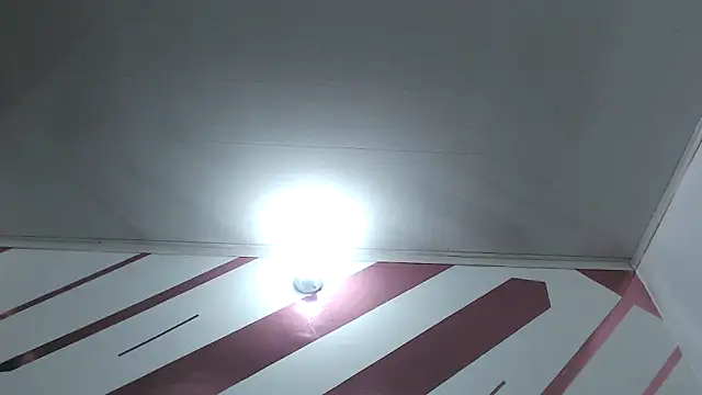 Kitten Hot  online show from 12/18/25, 10:21