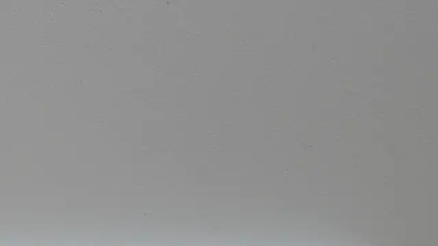 pathogen1 online show from 01/15/26, 09:36