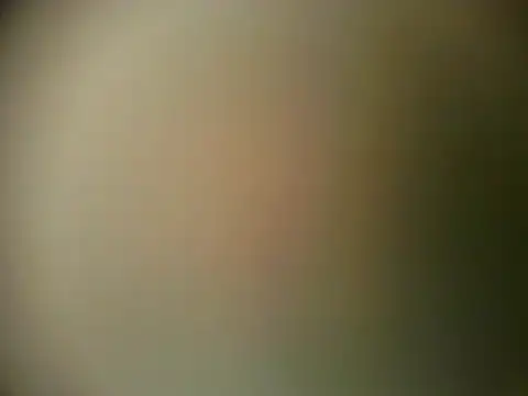 TheSweetBerry online show from 03/28/26, 12:16