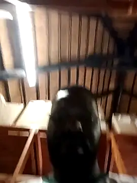 Snapshot of Touch_mysoul chatting on 10/26/25, 08:09 Touch mysoul online show from 10/26/25, 08:09