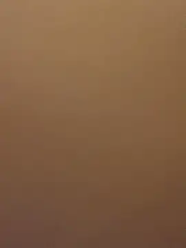 Snapshot of EvaRush chatting on 02/16/25, 08:11 EvaRush online show from 02/16/25, 08:11