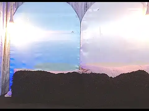 tylor boy online show from 01/09/26, 06:05