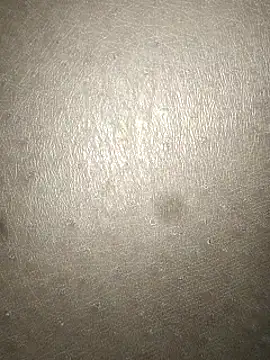 Snapshot of rohitlov150 chatting on 03/04/25, 03:11 rohitlov150 online show from 03/04/25, 03:11