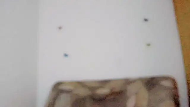 TatiGil online show from 04/10/26, 08:46