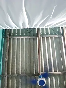 hotbaby 5 online show from 10/07/25, 03:36