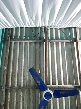 hotbaby 5 online show from 11/26/25, 01:12