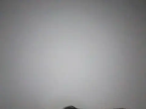 ChunkyMonkey007 online show from 12/07/24, 01:40