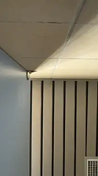 frnk30151 online show from 09/21/25, 03:02