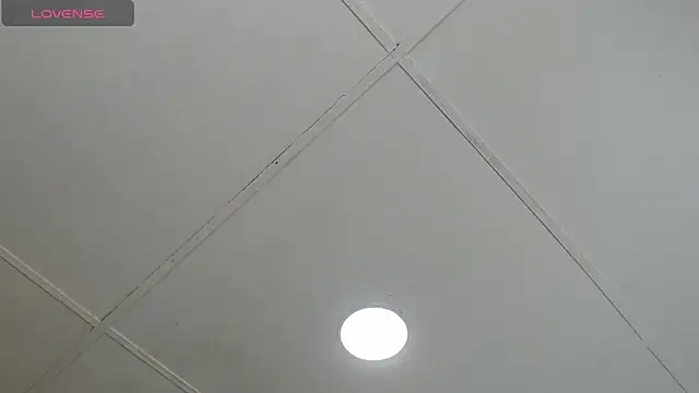 dannaberlin 0 online show from 02/20/25, 12:25