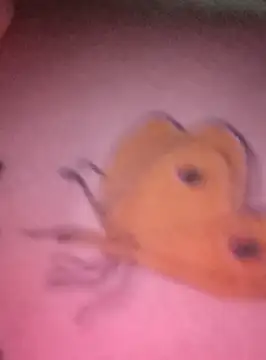 Nadia-2 online show from 01/24/25, 12:20