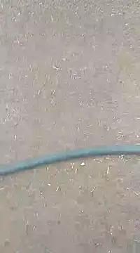 AuntyLover BhabhiLover  online show from 02/07/25, 12:50