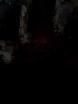 Snapshot of pintuS40 chatting on 09/15/25, 02:22 pintuS40 online show from 09/15/25, 02:22