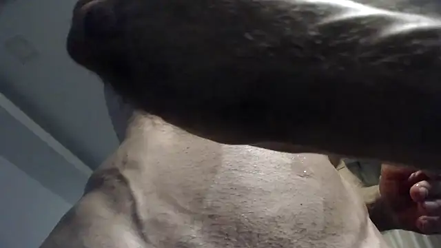 flexforyou online show from 10/23/25, 07:18