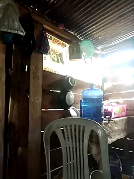 Huebolocko online show from 01/01/25, 03:57