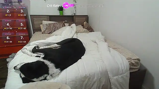 Kittyymaze1 online show from 02/25/25, 01:28