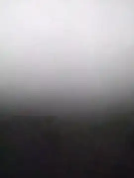 heartless  95 online show from 02/15/26, 03:36